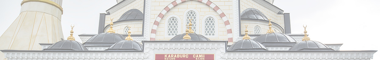 Cami Alemi Cami Alemi